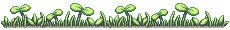 Grass and clovers