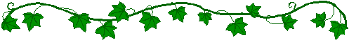 Ivy