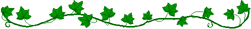 Ivy