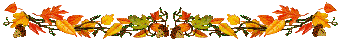 Autumn leaves