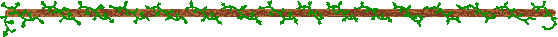 Vine around stick