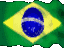 Brazillian flag