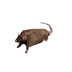 Spinning rat