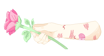 Hand holding Rose