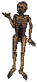 Skeleton
