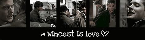 Supernatural - 'Wincest is love' banner