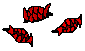 Teeth